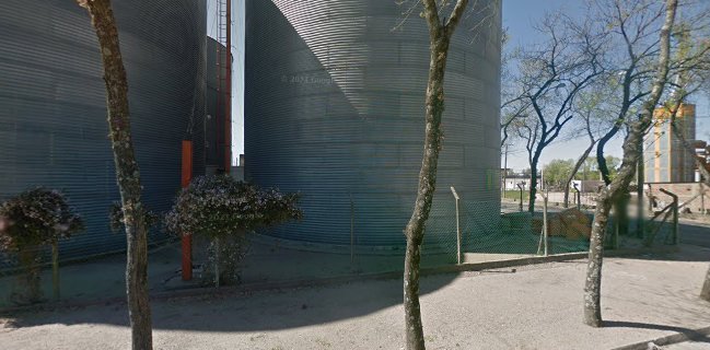 Agromotora Flores S.A.