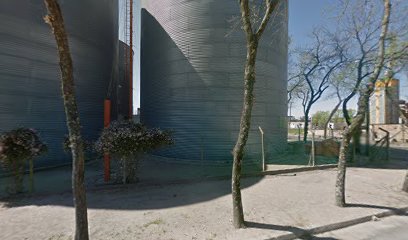 Agromotora Flores S.A.